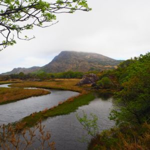 parc national de Killarney