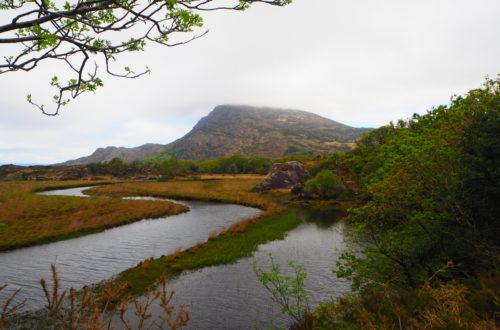 parc national de Killarney