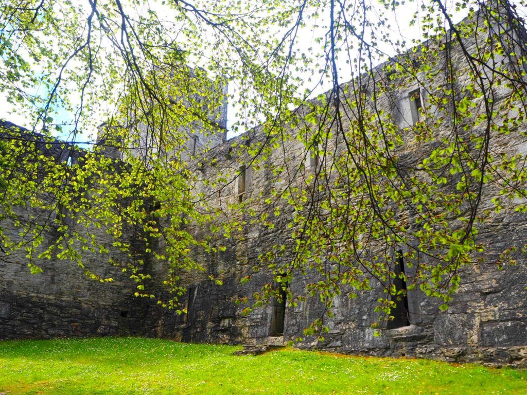 Abbaye Muckross